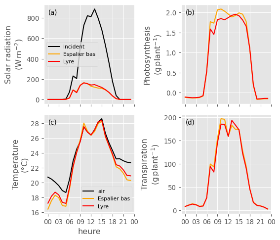 hydroshoot_water_potential