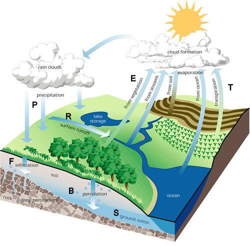 water balance